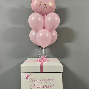 Коробка с шарами Розовый котик